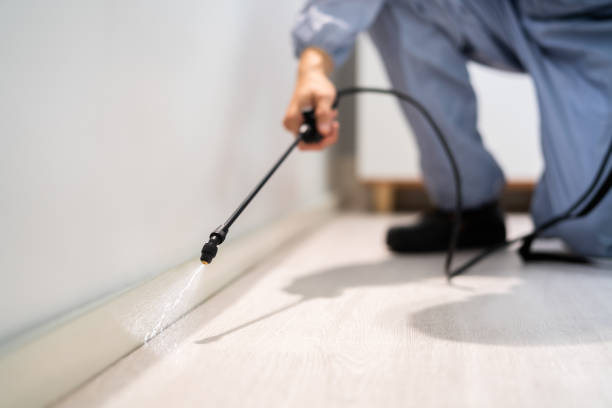 Bed Bug Pre-Treatment Preparation Assessment in Tenino