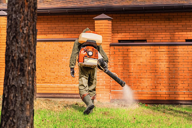 Bed Bug Clearance Verification and Documentation in Tenino